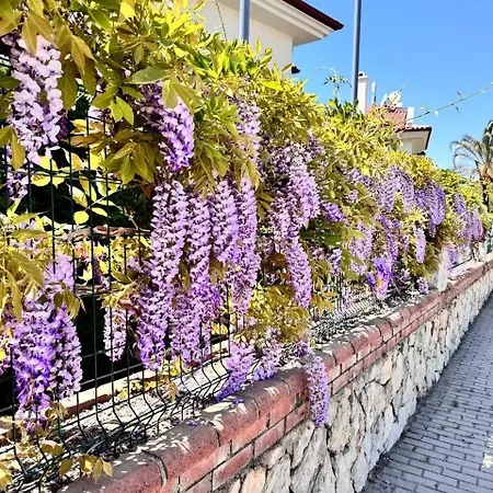 Sunset Club 3 Bedroom Appartement Fethiye